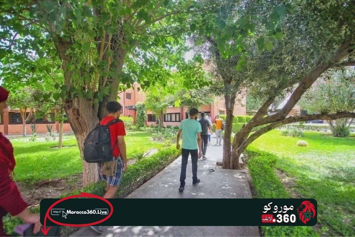 3 مدن مغربية تستعد لافتتاح أحياء جامعية جديدة بـ3554 سريراً