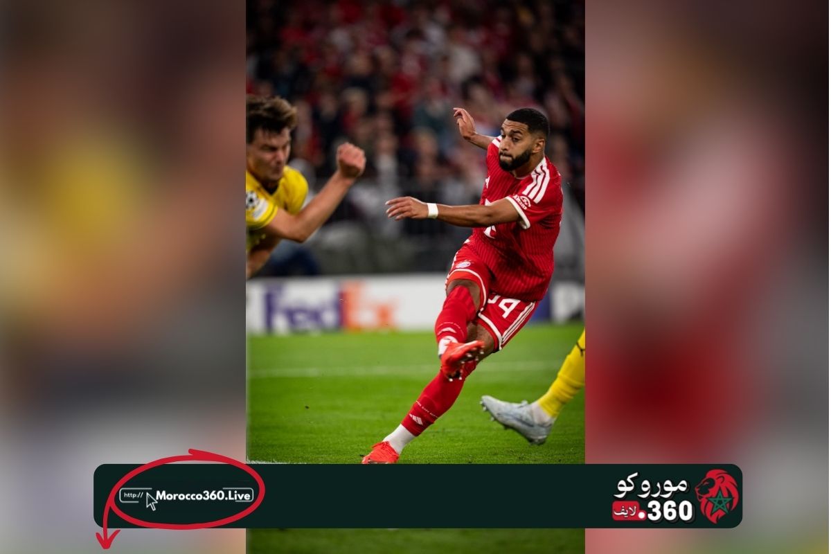 «الأسد» صيباري يخطف الأضواء في بايرن ميونيخ بعد خماسية دوري الأبطال